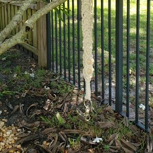 Handmade Macrame Key Lanyard